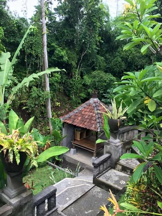 Kerta Family Bed And Breakfast 乌布 外观 照片