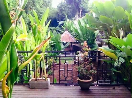 Kerta Family Bed And Breakfast 乌布 外观 照片